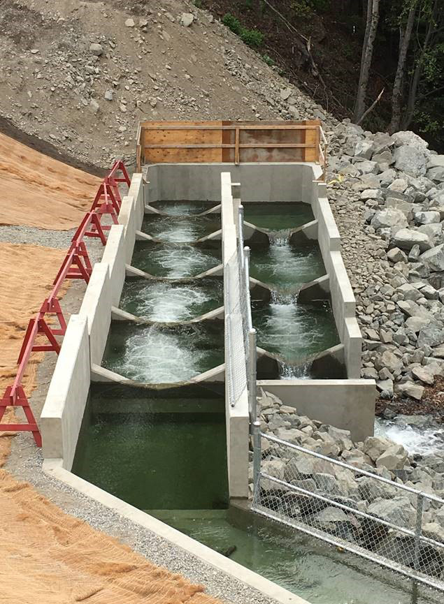 precast fish ladder by Proform