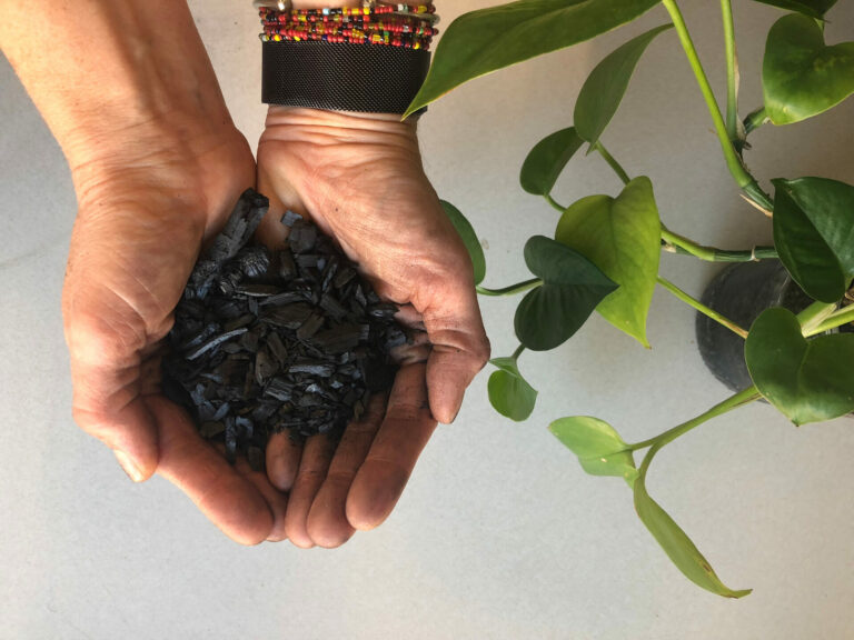 hands holding biochar