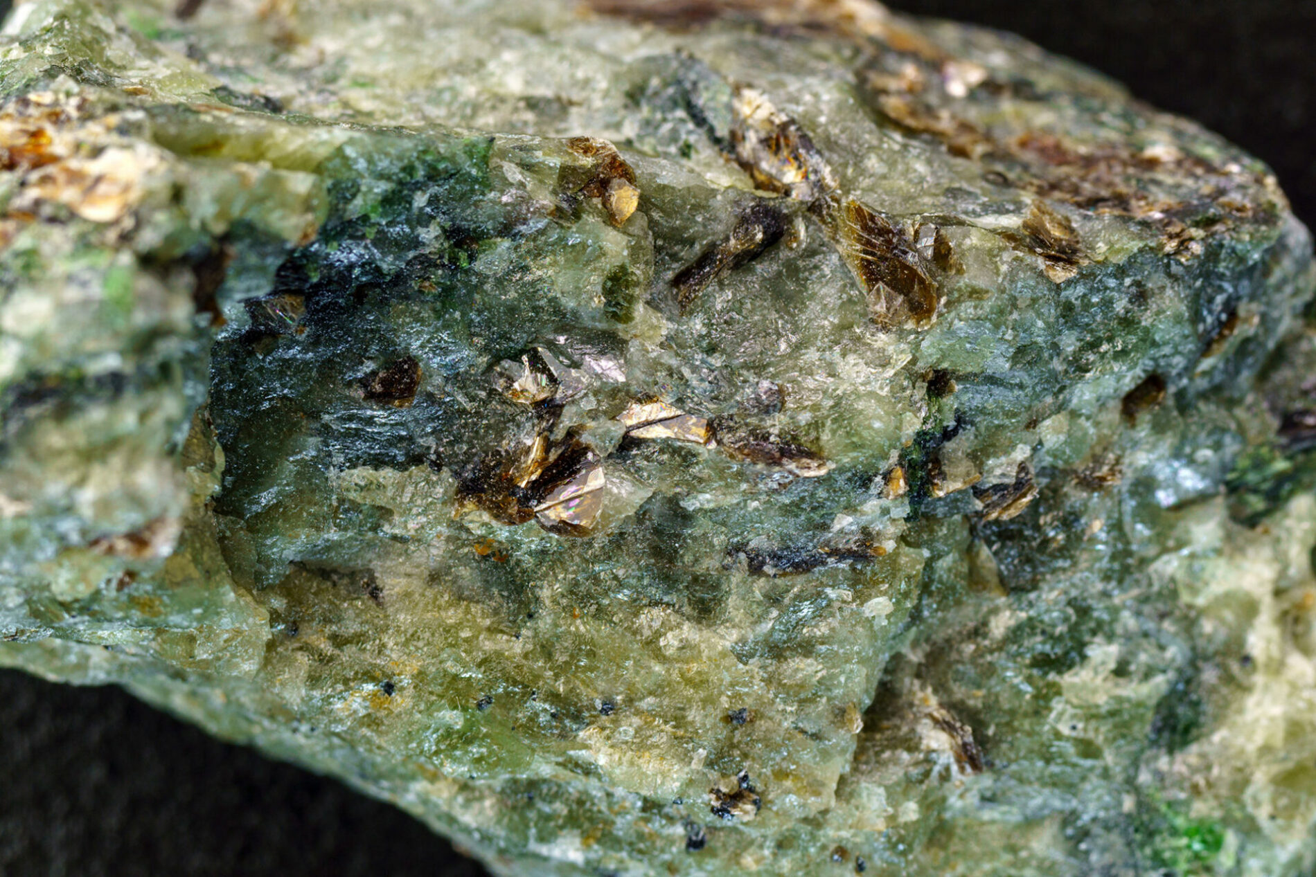 Natural chrysolite, olivine green color transparent raw crystal, close up, macro