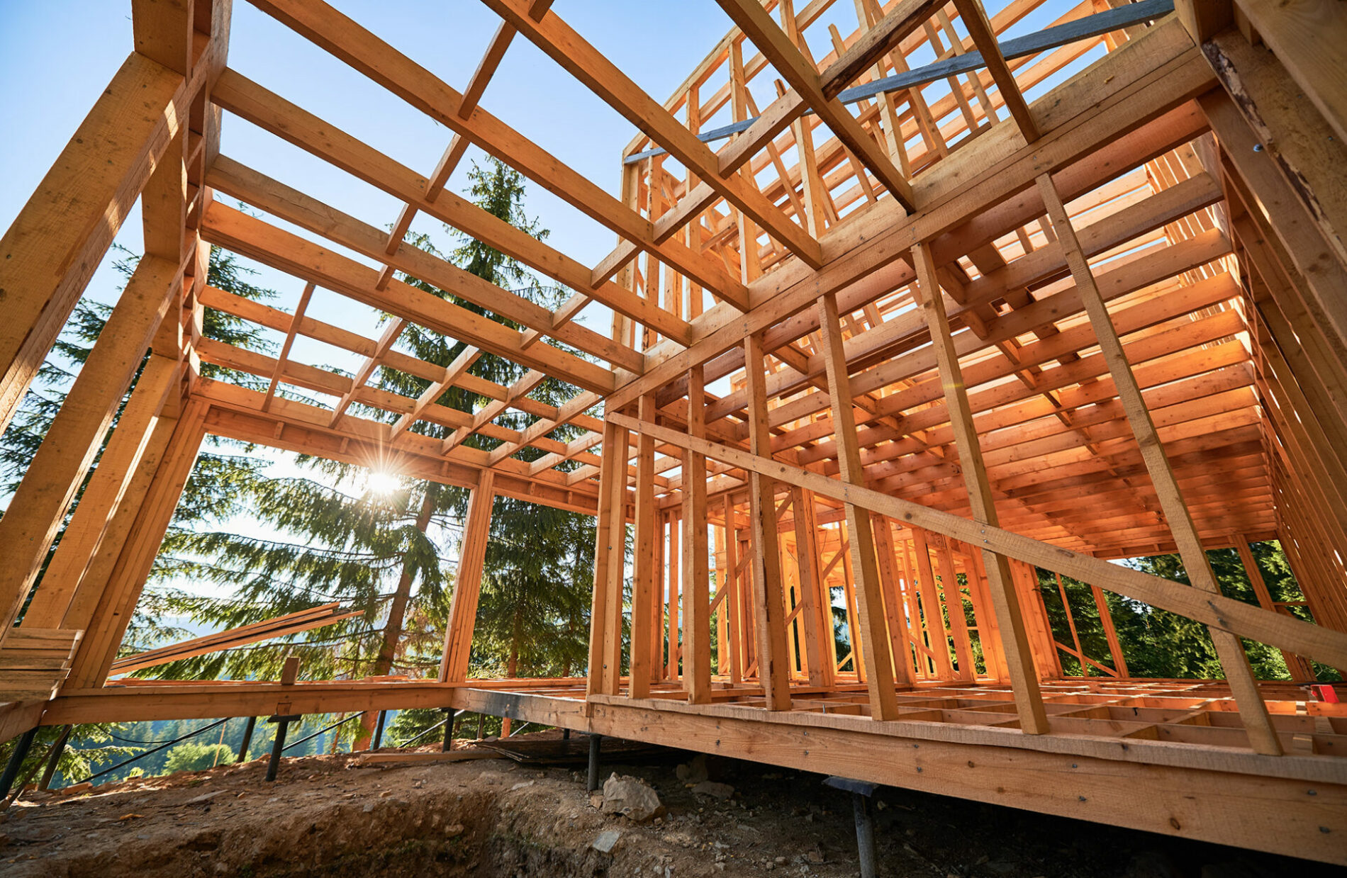 Housing wooden-frame house built near woodland area. Start of novel construction of comfortable cottage on edge of the forest. Concept of contemporary ecological construction and modern architecture.