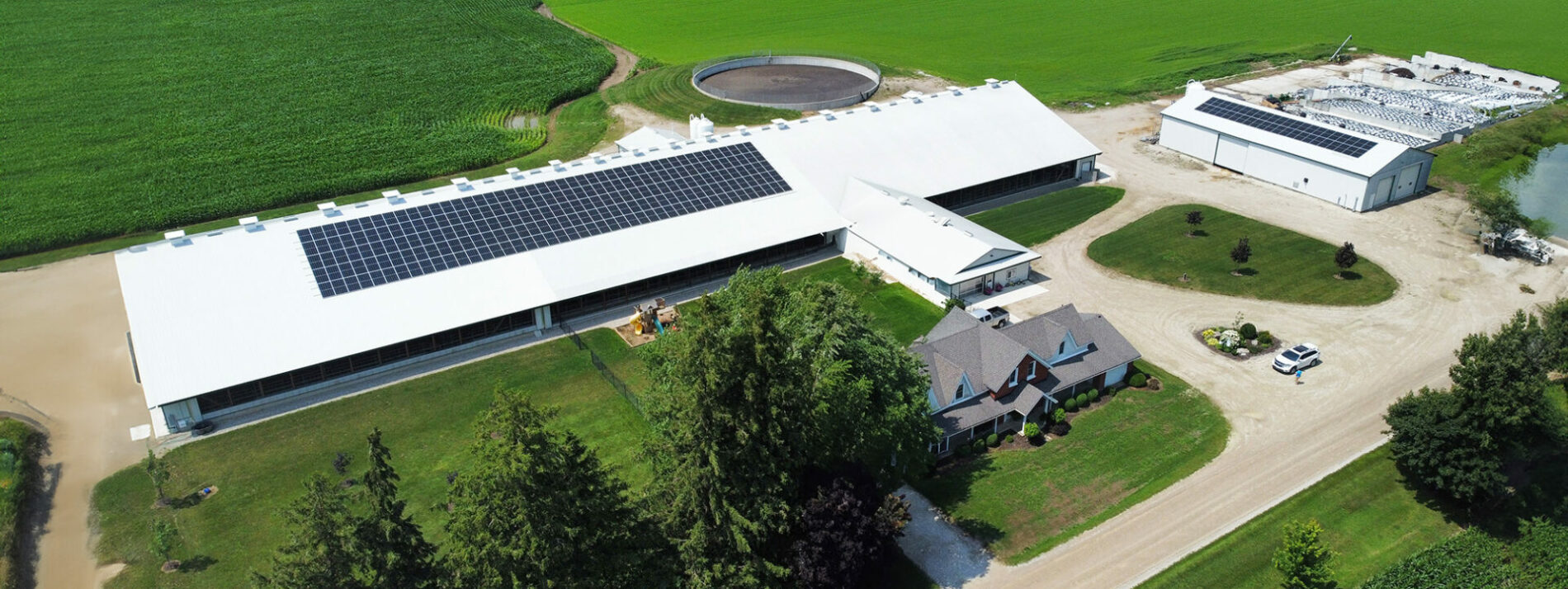 A dairy farm with solar panels